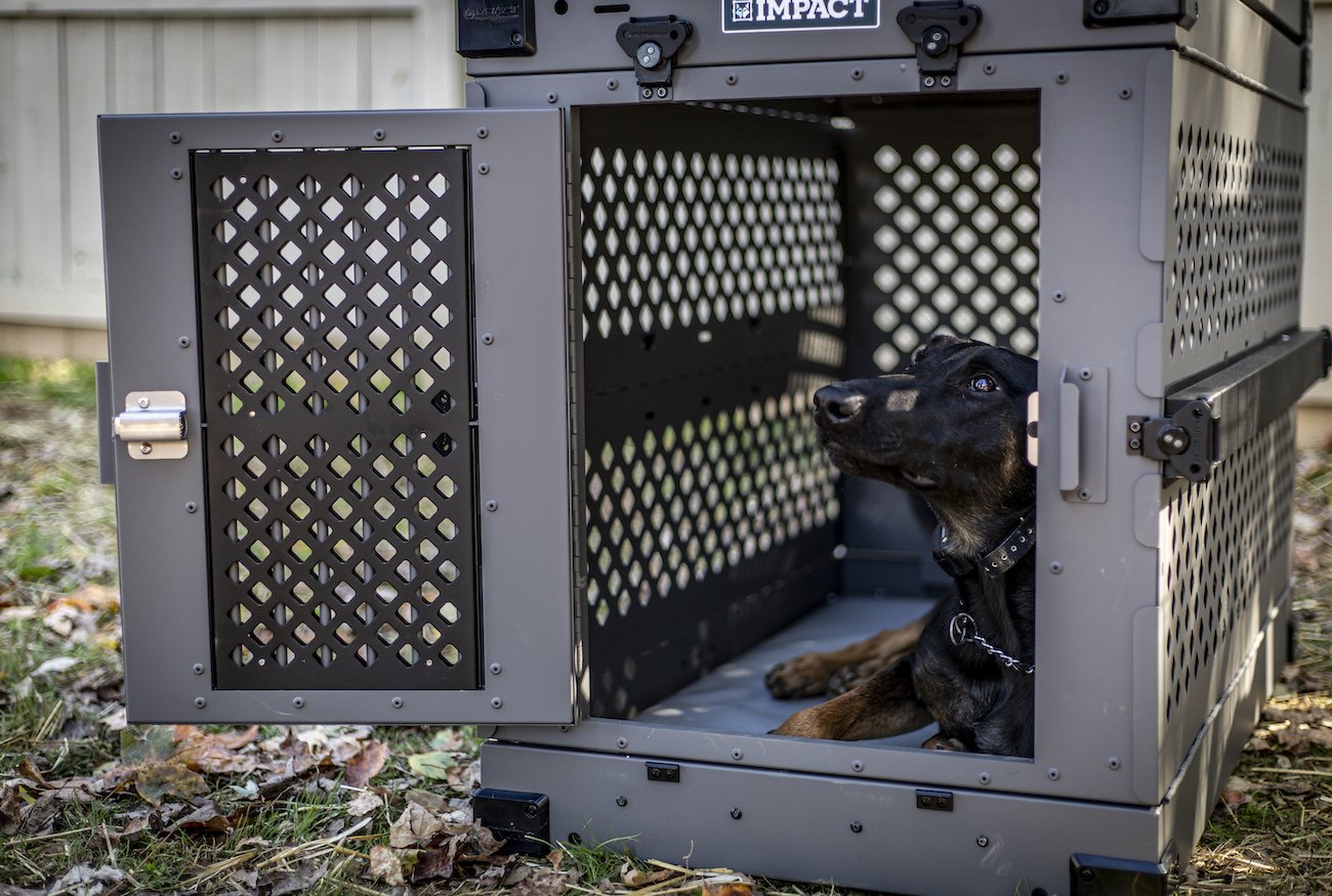 Impact Door Guard attachment for stationary and collapsible dog crates