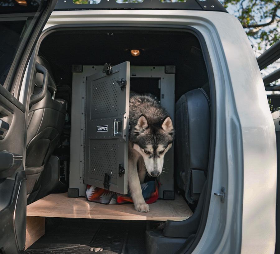 husky exiting high anxiety dog crate from truck