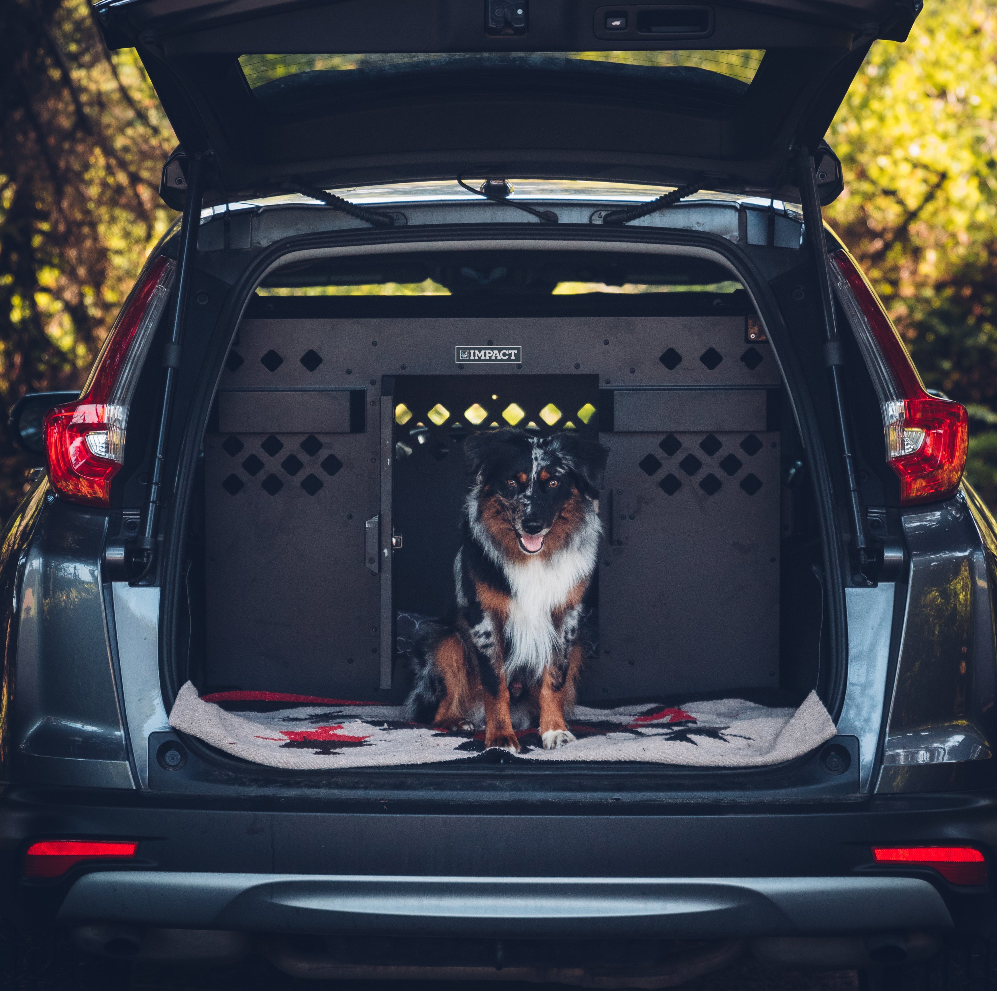black side door stationary crate inside blue suv cargo area with australian shepherd dog sitting in crate with back door open