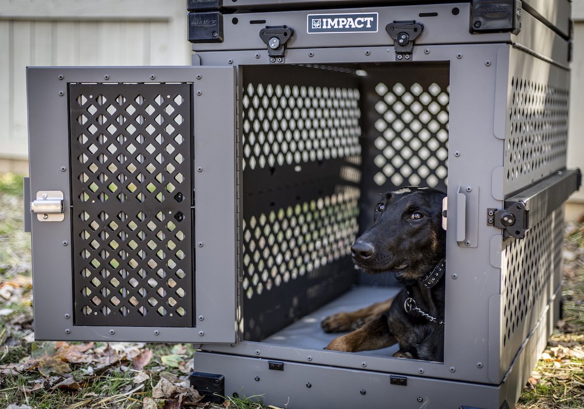 vinyl crate pad in collapsible impact dog crate with dog laying on crate pad